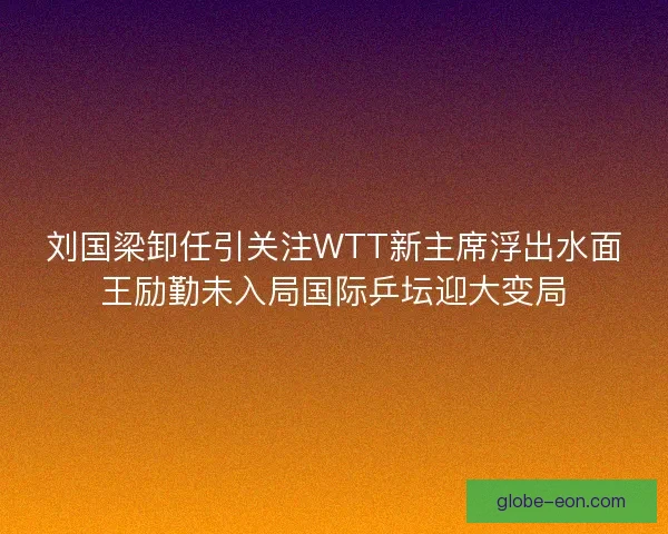 刘国梁卸任引关注WTT新主席浮出水面王励勤未入局国际乒坛迎大变局